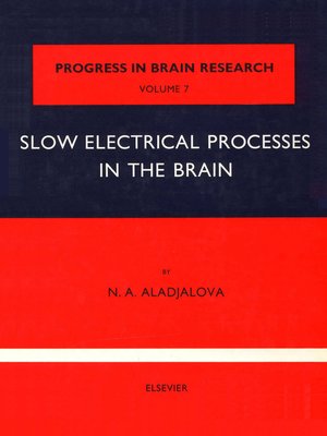 cover image of Slow Electrical Processes in the Brain